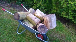 Den nostalgiske tømmerstokken