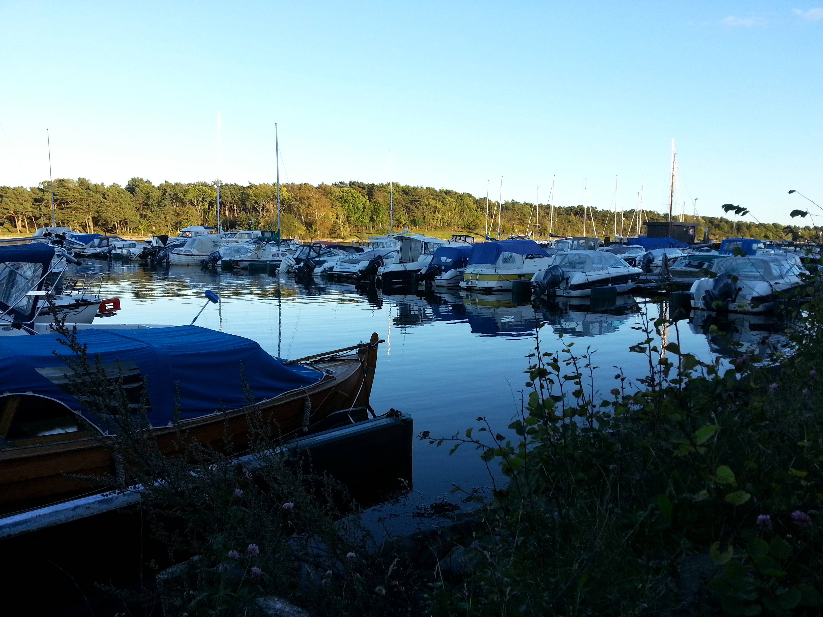 20160923_182121.jpg