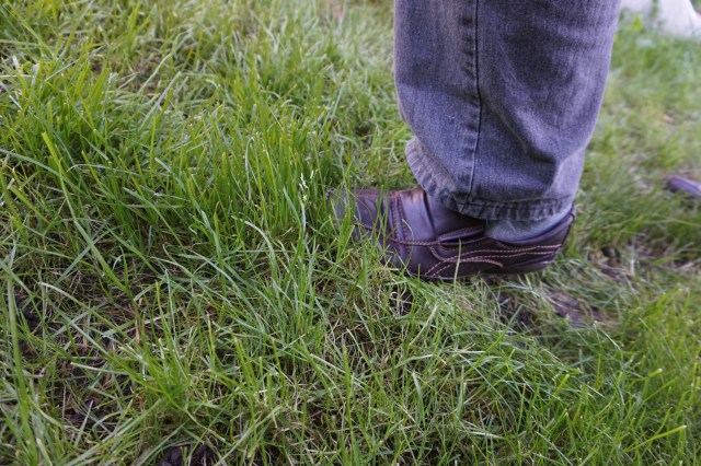 De synlige sporene viser hvor jeg gikk