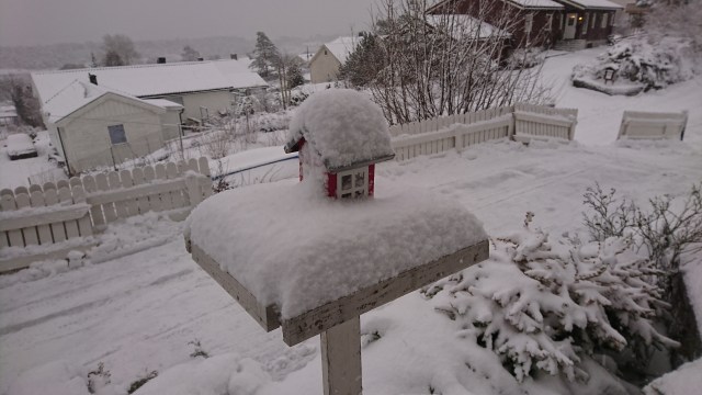 Før måking - foring