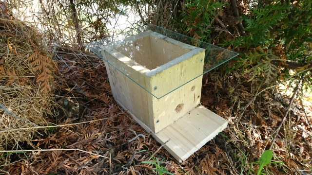 Humlehuset med glassplate for inspeksjonsformål. Vanlig tak er en  planke.  